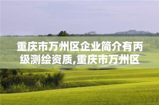 重庆市万州区企业简介有丙级测绘资质,重庆市万州区建设工程质量检测中心有限公司。 重庆市万州区企业简介有丙级测绘资质,重庆市万州区建设工程质量检测中心有限公司。