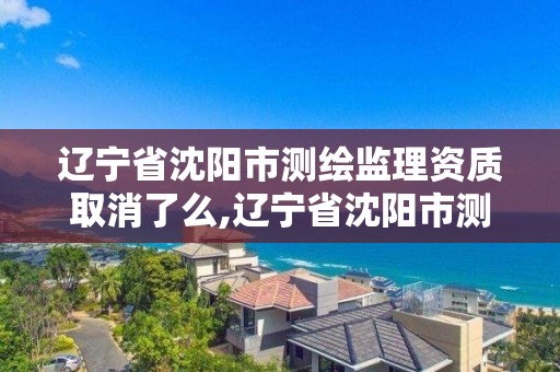 辽宁省沈阳市测绘监理资质取消了么,辽宁省沈阳市测绘监理资质取消了么。
