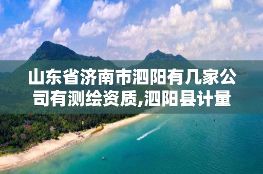山东省济南市泗阳有几家公司有测绘资质,泗阳县计量测试所电话。 山东省济南市泗阳有几家公司有测绘资质,泗阳县计量测试所电话。
