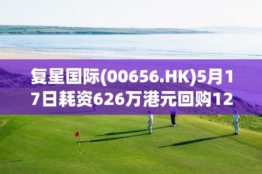 复星国际(00656.HK)5月17日耗资626万港元回购120万股
