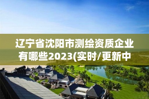辽宁省沈阳市测绘资质企业有哪些2023(实时/更新中)