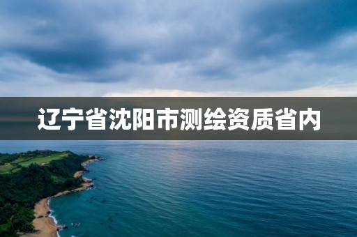 辽宁省沈阳市测绘资质省内 辽宁省沈阳市测绘资质省内