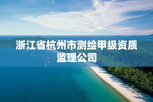 浙江省杭州市测绘甲级资质监理公司