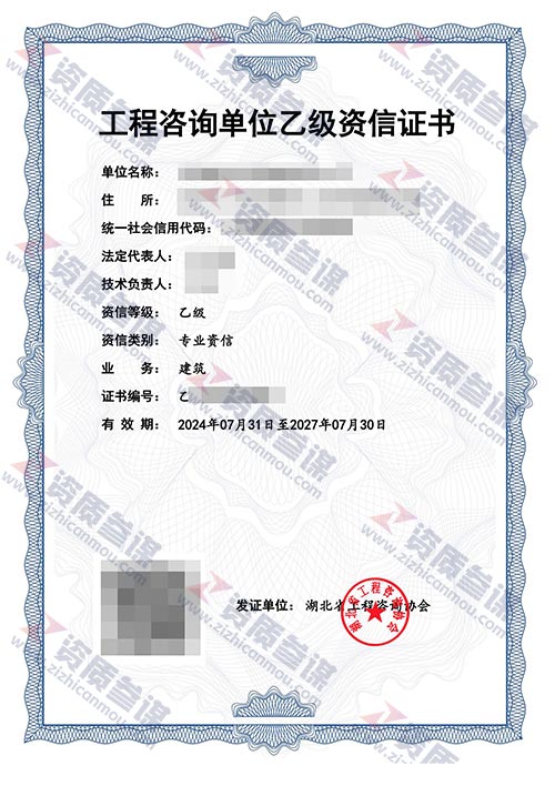 2024年7月湖北省乙级工程咨询单位资信证书案例展示-2