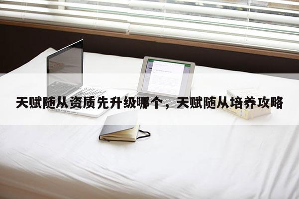 天赋随从资质先升级哪个，天赋随从培养攻略